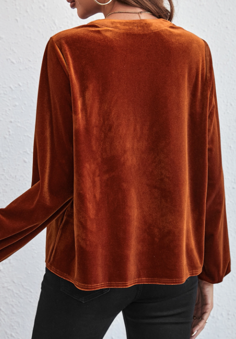 Pre-order Lantern Sleeve V-Neck Velvet Blouse