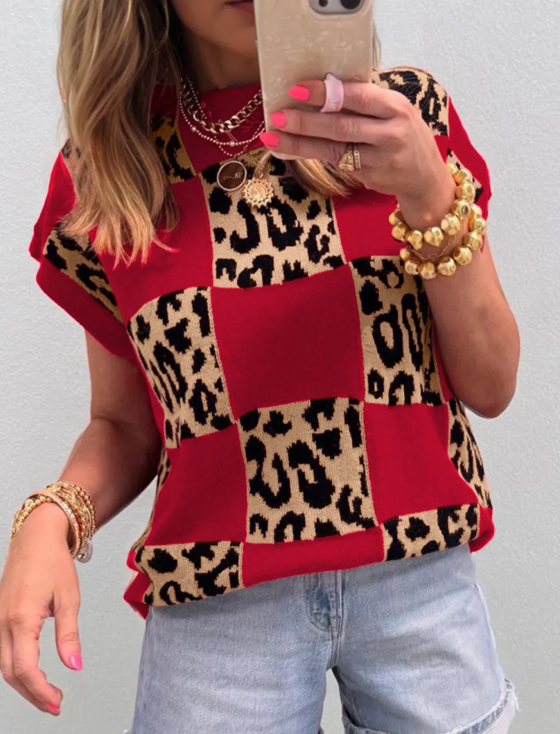 Pre-order Checkered Cheetah Sweater (Multiple Colors)